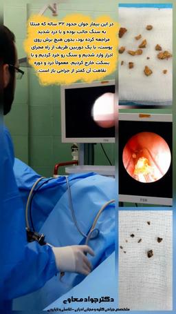 تصویر گالری جواد معاوی 14