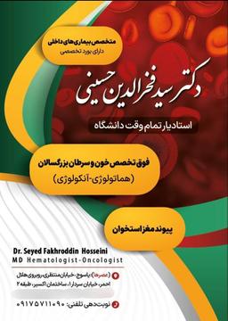 تصویر گالری سیدفخرالدین حسینی 5