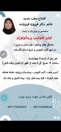 تصویر گالری فیروزه فروزنده 1