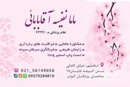تصویر گالری نفیسه آقابابائی 3