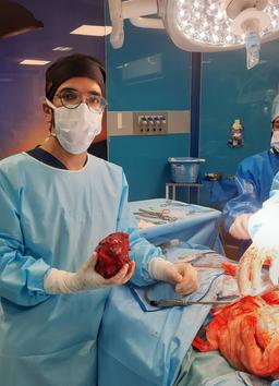 تصویر گالری حامد راستگویان 3