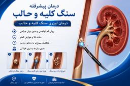 تصویر گالری محمدمهدی دریسی 2