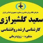 تصویر گالری سعید گلشیرازی 4