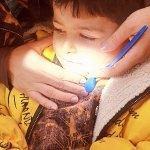 تصویر گالری ملیحه هزارخوانی 25