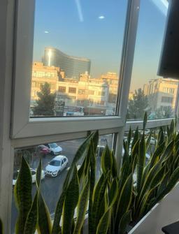 تصویر گالری علی اکبر درودیان 6