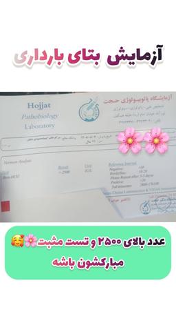 تصویر گالری کیمیا محمودی دلفان 2
