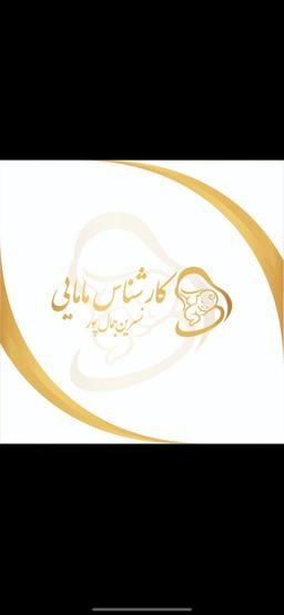 تصویر گالری نسرین جمال پور 6