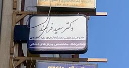 تصویر گالری سعید فرهمند 2