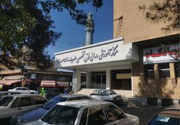 تصویر گالری فاطمه طلوعی دورباش 1