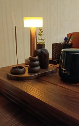 تصویر گالری مهشید رضائیان 1