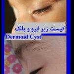 تصویر گالری ناصر کریمی 77