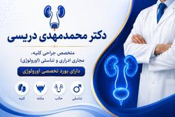 تصویر گالری محمدمهدی دریسی 1