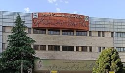 تصویر گالری سارا حسیبی طاهری 1