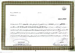 تصویر گالری لیلا دانائی 3