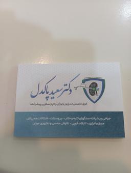 تصویر گالری سعید پاکدل 1