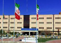 تصویر گالری شیما عابدی مقدم 1