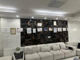 تصویر گالری دنیز لسان 1