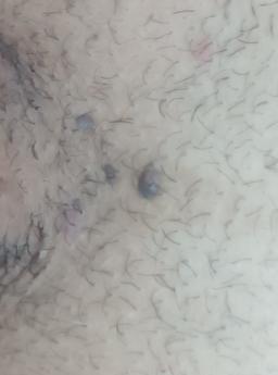 تصویر گالری محسن مجلسی 8