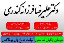 تصویر گالری علیرضا فرزانه کندری 1