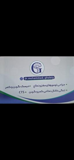 تصویر گالری محمد قلعه ئی 5