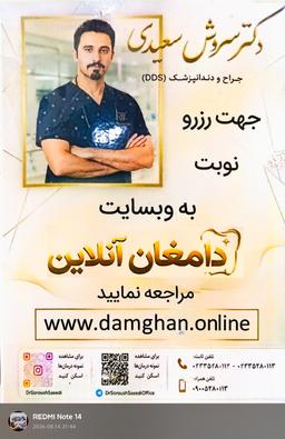 تصویر گالری سروش سعیدی 4