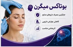 تصویر گالری محمد صفائی کتولی 4