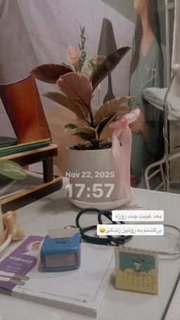 تصویر گالری مریم بابازاده 1