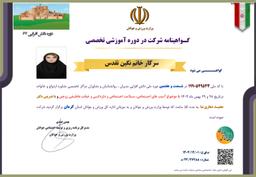 تصویر گالری نگین تقدس 8
