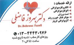 تصویر گالری بهروز فاضلی 1