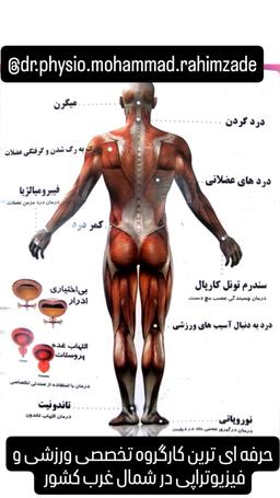 تصویر گالری محمد مهدی رحیم زاده 4