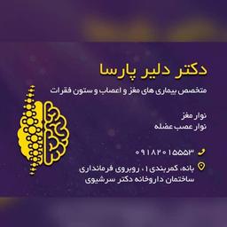 تصویر گالری دلیر پارسا 1
