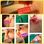 تصویر گالری ملیحه هزارخوانی 32