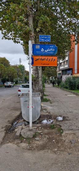 تصویر گالری امین گلی پور مامودان 5