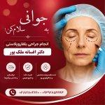 تصویر گالری افسانه ملک پور 2