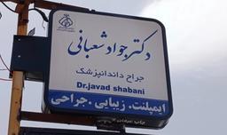 تصویر گالری جواد شعبانی 5