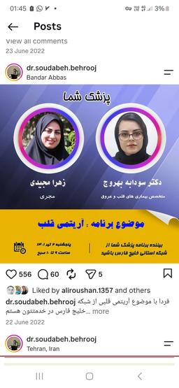 تصویر گالری سودابه بهروج 2
