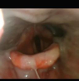 تصویر گالری علی مشتاق لاکلایه 2