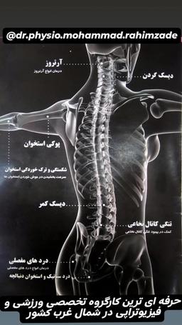 تصویر گالری محمد مهدی رحیم زاده 5