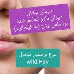 تصویر گالری ملیحه هزارخوانی 9