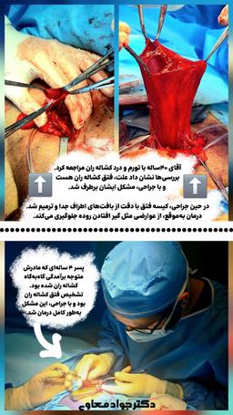 تصویر گالری جواد معاوی 12