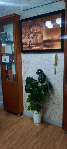 تصویر گالری شقایق غفرانی 1