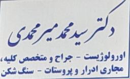 تصویر گالری سیدمحمد میرمحمدی 1