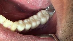 تصویر گالری فائزه فعله گری 9