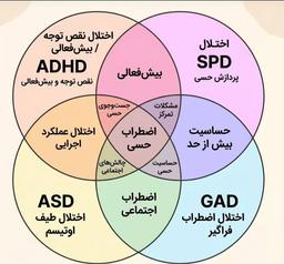 تصویر گالری ندا حیدردخت نظری 33