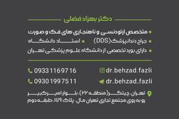تصویر گالری بهزاد فضلی 2