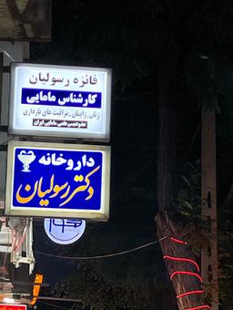 تصویر گالری فائزه رسولیان 3