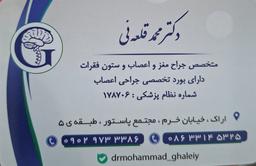 تصویر گالری محمد قلعه ئی 4