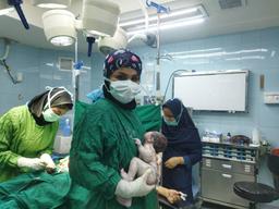 تصویر گالری نسرین بابادی 2