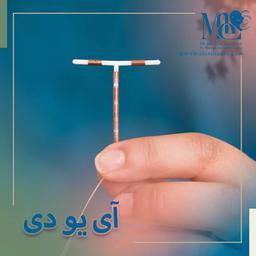 تصویر گالری بنفشه حاج قربانی 5