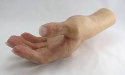 تصویر گالری علیرضا نوابی 2